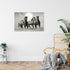 Wandbilder Wohnzimmer XXL Pferde Moderne Bilder Tiere